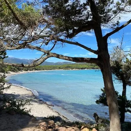 Pacienta * Bonifacio (Corsica)