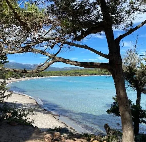 Pacienta * Bonifacio (Corsica)